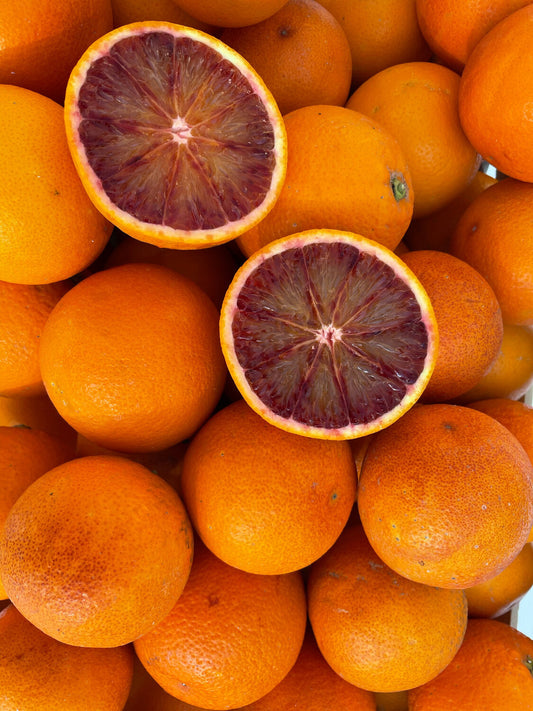 Morocello - Blutorangenlikör