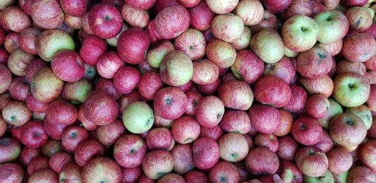 Gravensteiner Apfelbrand