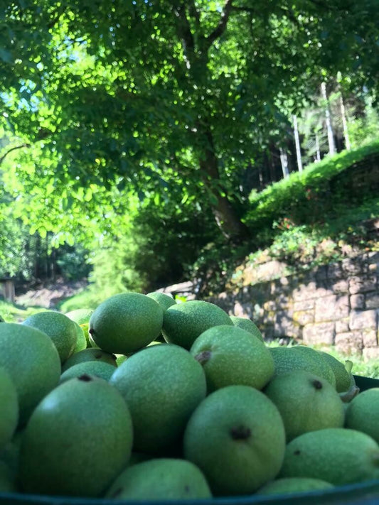 Grüne Walnuss (Likör)